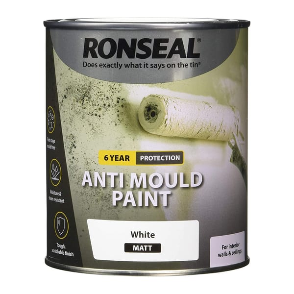 Anti-mould paint